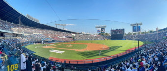 폭우에 프로야구 경기 순연…23일 더블헤더로