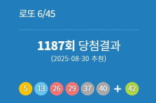 1187회 로또 당첨번호  5, 13, 26, 29, 37,40 + 보너스번호 42