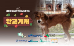 안고가개, 입양교감 캠핑 ‘안고가개’ 11월 임실서 개최