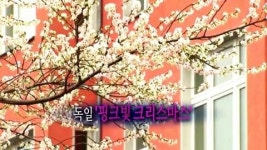 [큐클릭] 핑크빛 크리스마스 맞이하게 되나요?