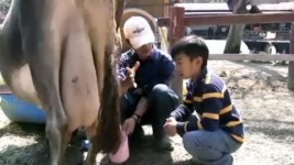 日 시골 농장의 변신...농업도 미래산업