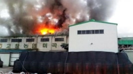 고창 미곡처리장에서 불...3천만 원 피해