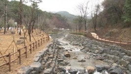 [경북] 경북, 생태하천 복원에 380억 원 투자