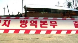 전북 고창에서도 구제역 확진...방역 초비상