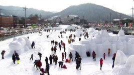 '눈 세상으로 오세요' 대관령 눈꽃 축제 개막