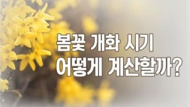 [뉴스통] 봄꽃 개화 시기는 어떻게 알 수 있나요?