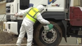 이번에는 충남에서 구제역 확산...방역 비상