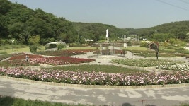 [울산] 울산대공원, 체험형 공원으로 전면 재단장