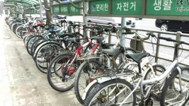 무심하게 버려진 자전거...몸살 앓는 보관소