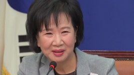더민주 손혜원 
