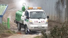 최대 양돈 단지 홍성도 뚫렸다...5년 전 악몽 재현 우려