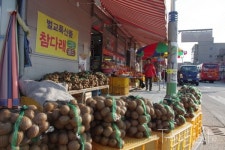 벌교에는 뭔가 특별한 멋이 있다