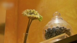 中 친환경 장례 확산...보석장까지 등장