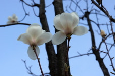 [포토에세이-남양주] 어디 갔니?