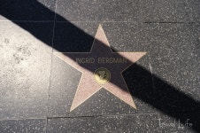 부산 남포동 vs LA 할리우드, 영화라는 꿈의 거리