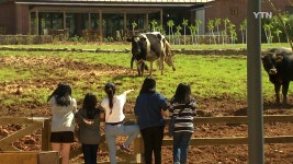 만져보고 만들어보고...체험형 농장 인기