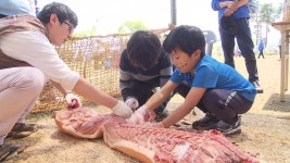 축제의 달 5월...타임머신 타고 구석기로