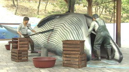'고래야 놀자!'...울산 고래 축제 열려
