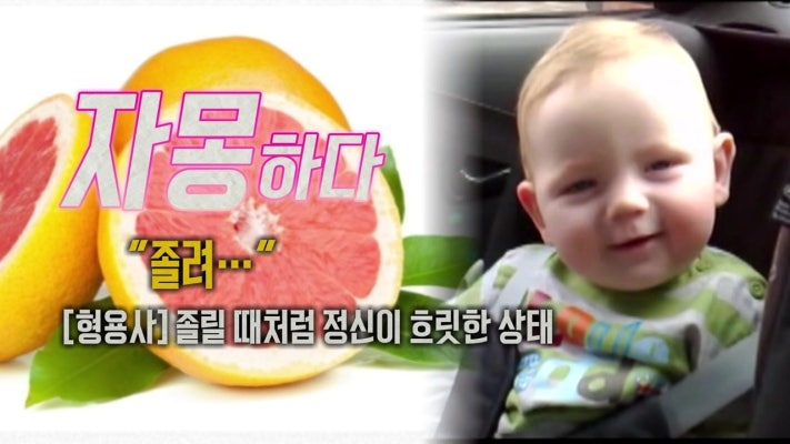 '자몽하다', '매실매실하다'...새콤달콤 우리말 | 포토뉴스