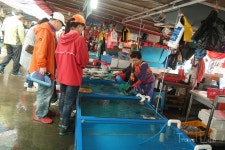 [가을 바닷가 산책] 주문진 오징어 물회, 먹어야만 채워지는 것들