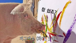 돼지 화가가 그린 그림, 200만 원에 판매돼 화제