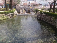 태백시 황지연못, 낙동강 1300리가 시작되는 곳