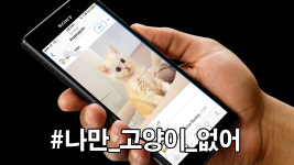 인스타그램, 정신 건강에 가장 해로운 SNS로 뽑혀