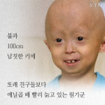 [한컷뉴스] 스파이더맨을 만난 원기군의 '2번째 소원'