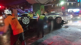 고가 달리던 승용차 추락...운전자 숨져