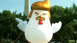 백악관 근방 트럼프 닮은 닭 조형물 눈길