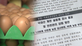 아산 농장 살충제 달걀 식별번호, 11무연 아니라 11덕연
