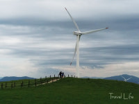 평창 삼양목장, 대관령의 녹색바다와 춤추는 바람