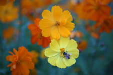 [포토에세이-북한강변 자전거 길] 이제 너를 기억해