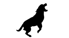 30대·60대 부녀 기르던 개에 물려 중상