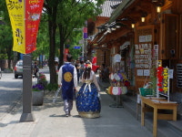 전주 덕진공원, 연꽃이 연출한 이색 풍경