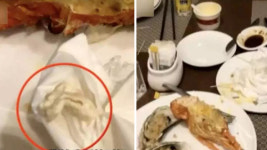 랍스터에서 껌 나온 中식당 변명...랍스터가 껌 씹은 듯