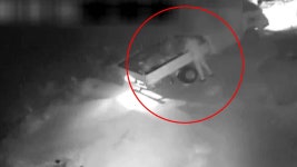 농촌에서 금값 고추 훔쳐 판매한 60대 덜미