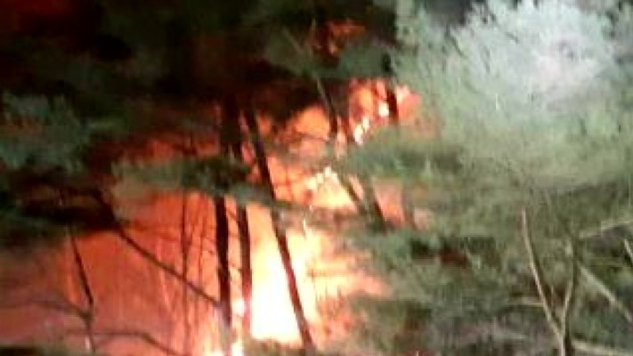 강원 원주 야산에 불...2천 태워 | 포토뉴스