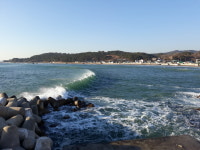 경주 감포에서 포항 호미곶까지, 동쪽 끝을 따라오는 꽃바람