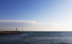 경주 감포에서 포항 호미곶까지, 동쪽 끝을 따라오는 꽃바람