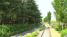 경춘선 숲길 오늘 전 구간 개방