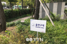 [반나절] 금연구역 아닌가요? 길거리의 흡연자들