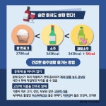 소맥이 술술 넘어가는 이유? 송년회 시즌, 음주에 대한 모든 것