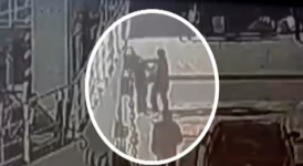 [와이파일]때리지 마세요...바다의 무법자, 이제는 징역형