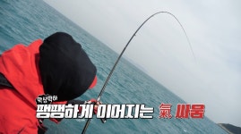 낚시형제 이하늘+이현배, 추자도서 88cm 대물참돔 낚는데 성공...역대급 인생고기