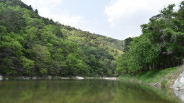 [산행 포인트] 꽃비 내리는 홍천 수타사 산소길