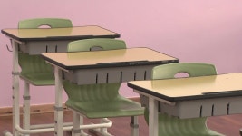 [속보] 인천 백석초등학교 교직원 확진...학교 전면 폐쇄