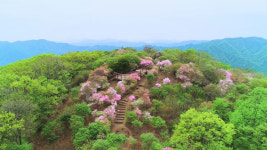 [추천! 주말여행] 봄을 떠나보내기 위해 찾은 남양주 서리산