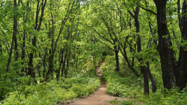 [산행 포인트] 산아! 우뚝 솟은 푸른 가리산아!