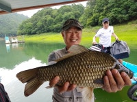 충주호 하천리 좌대낚시 40cm급 붕어 4수, 37cm급 붕어 1수, 잔 씨알 붕어 마릿수
